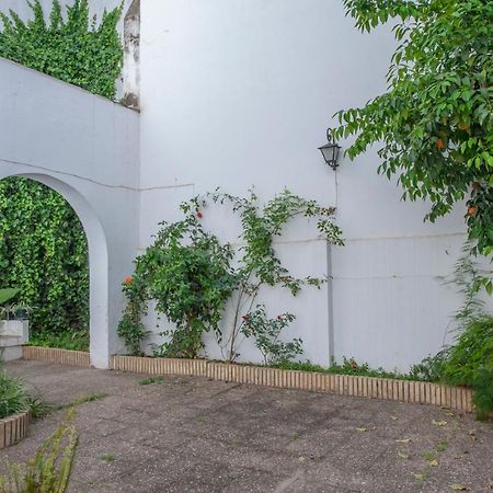 O&L Aire - Spacious And Bright Apartment In The Heart Of Sevilla Eksteriør bilde